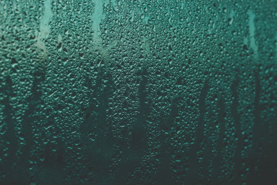 Spotting Damp Before You Buy