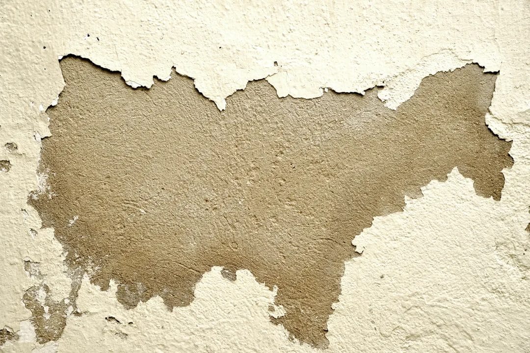 Awaab's Law: What the New Damp and Mould Deadlines Mean for Private Landlords in 2026