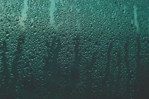 Spotting Damp Before You Buy