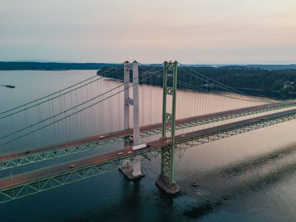 Bridging Finance: Borrowing for the Gap