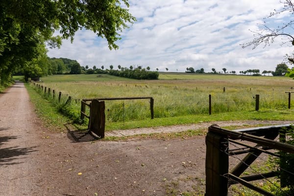 Rights of Way and Easements
