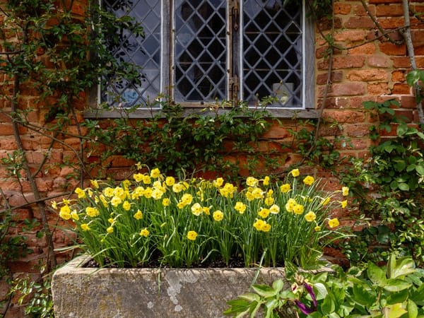 Downsizing in Later Life